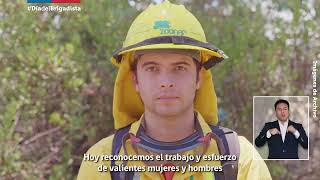 Día Del Brigadista Forestal 2023