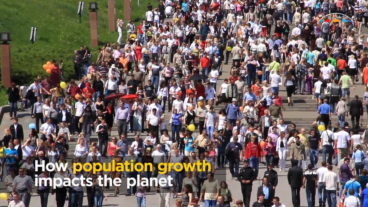 What causes population growth in an ecosystem?