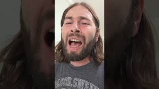 Angelina - Il Divo  cover #ildivo #angelina #cantando