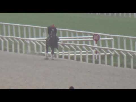 HAPPY DAY-REVISTA INVASOR