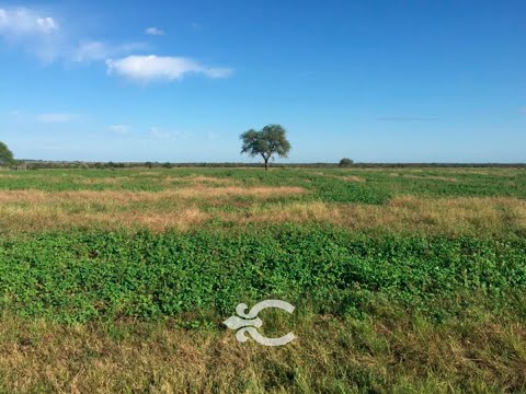 Video de YouTube - Campo en venta en Paysandú ref. 5475