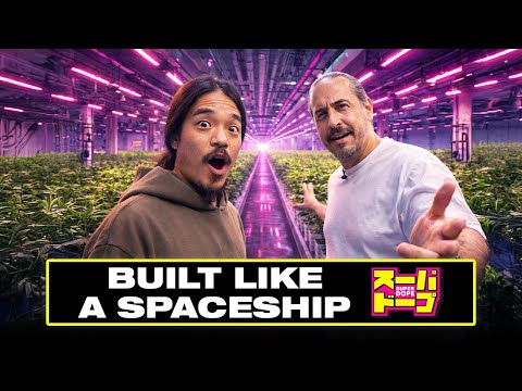 Super Dope: Inside Mega-Z Blue Room, Cherry Poppers & Starship Facility Tour