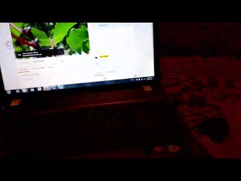 Szocs Laszlo test telefon