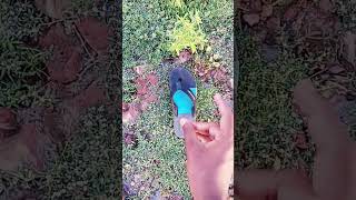 Download lagu https://youtube.com/shorts/StyDjPNcp8I?si=ug-amvD8Rhs0kubCGrow your YouTube channel with You to mp3