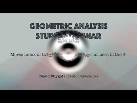 Morse index of the $\xi_{g,1}$ Lawson surfaces in the 3-sphere, David Wiygul. 29th October 2024