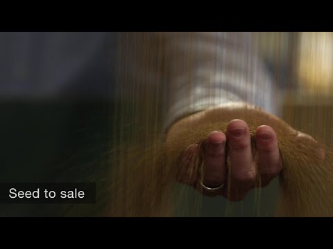 Top Notch Seeds, Inc. - Promotional Video