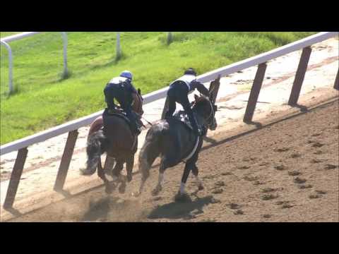 Tapwrit & Patch Workout 6.7.17