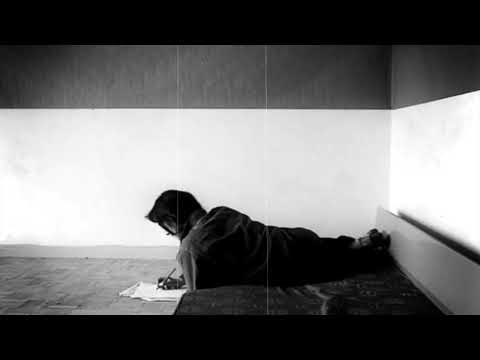 Renata Przemyk - Ostatni z zielonych