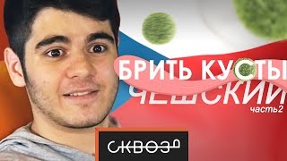 Брить Кусты | Чешский | ЯсноПонятно #3