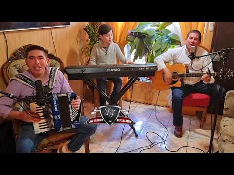 Medley de Cumbias | Tierra Mala, Cuando te vayas, Un Parrandero, El Soltero | Los Flores de Rucalhue