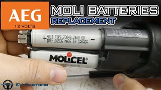 AEG 12V 1.5Ah MOLI Lithium-Ion Batteries Replacement