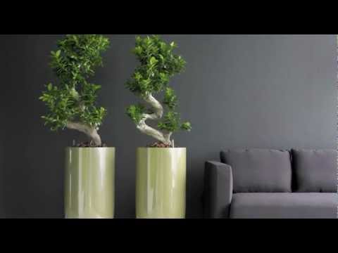 KWP Medienproduktion: Imagefilm | Hydroflora Pflanzgefäße und Hydrokultur