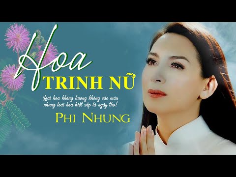 Thể hiện bởi Phi Nhung