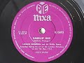 Lonnie Donegan 'Gamblin' Man' 1957 78 rpm