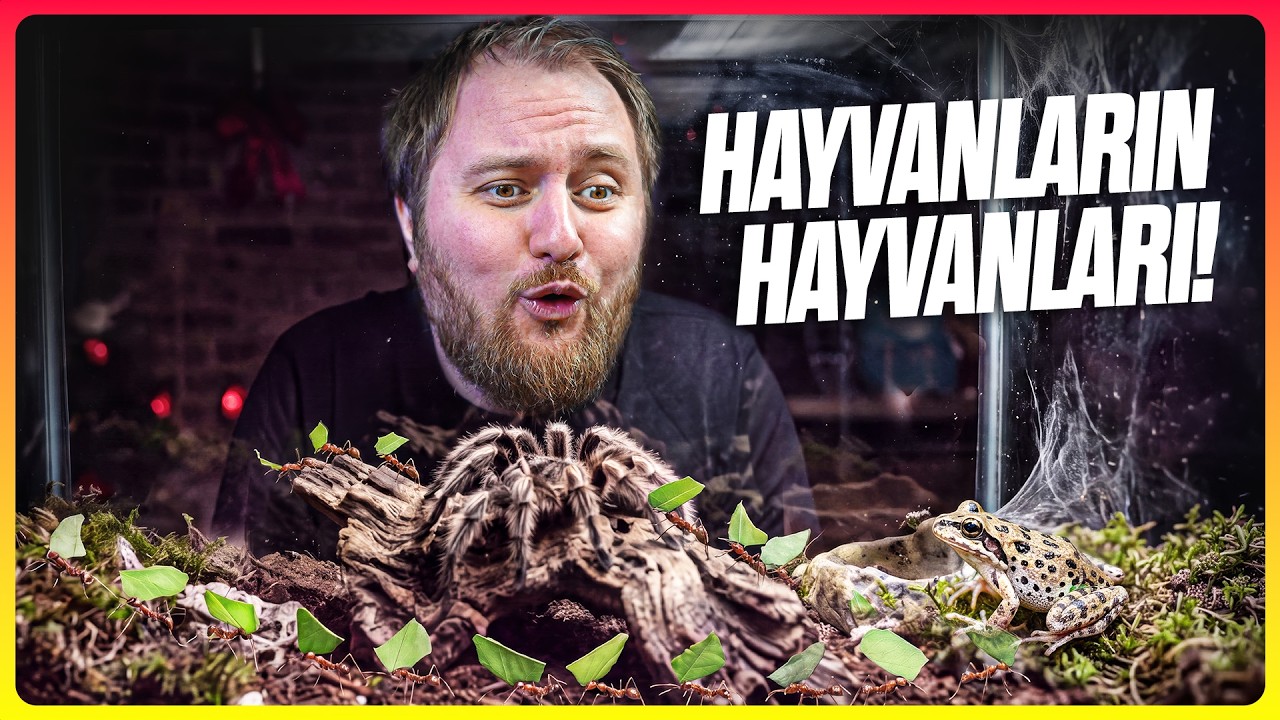 Diğer Hayvanların da Evcil Hayvanı Olabilir mi?