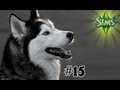 Евтиэль | Sims 3 . Папарацци . #15 