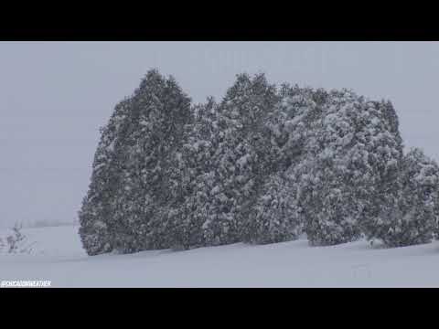 Very Heavy Lake Effect Snow & Whiteout Conditions, Berrien County, Michigan -12-24-2020 / 12-25-2020