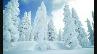 WINTER WONDERLAND