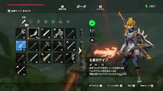 【SWITCH2】ゼルダの伝説　ブレスオブザワイルドを初見プレイ