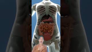Download lagu PERUBAHAN BENTUK PERUT IBU HAMIL 😲😲😲 #bumil #parenting #bayi #parentingtips #kehamilan mp3