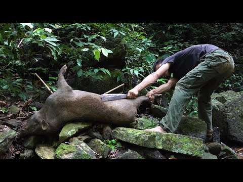 How to trap a big wild boar | Survival Instinct | Nolan