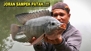 Download lagu HORRIBLE..!!! Violence while fishing Nila Babon in the river joran sampek Patah mp3