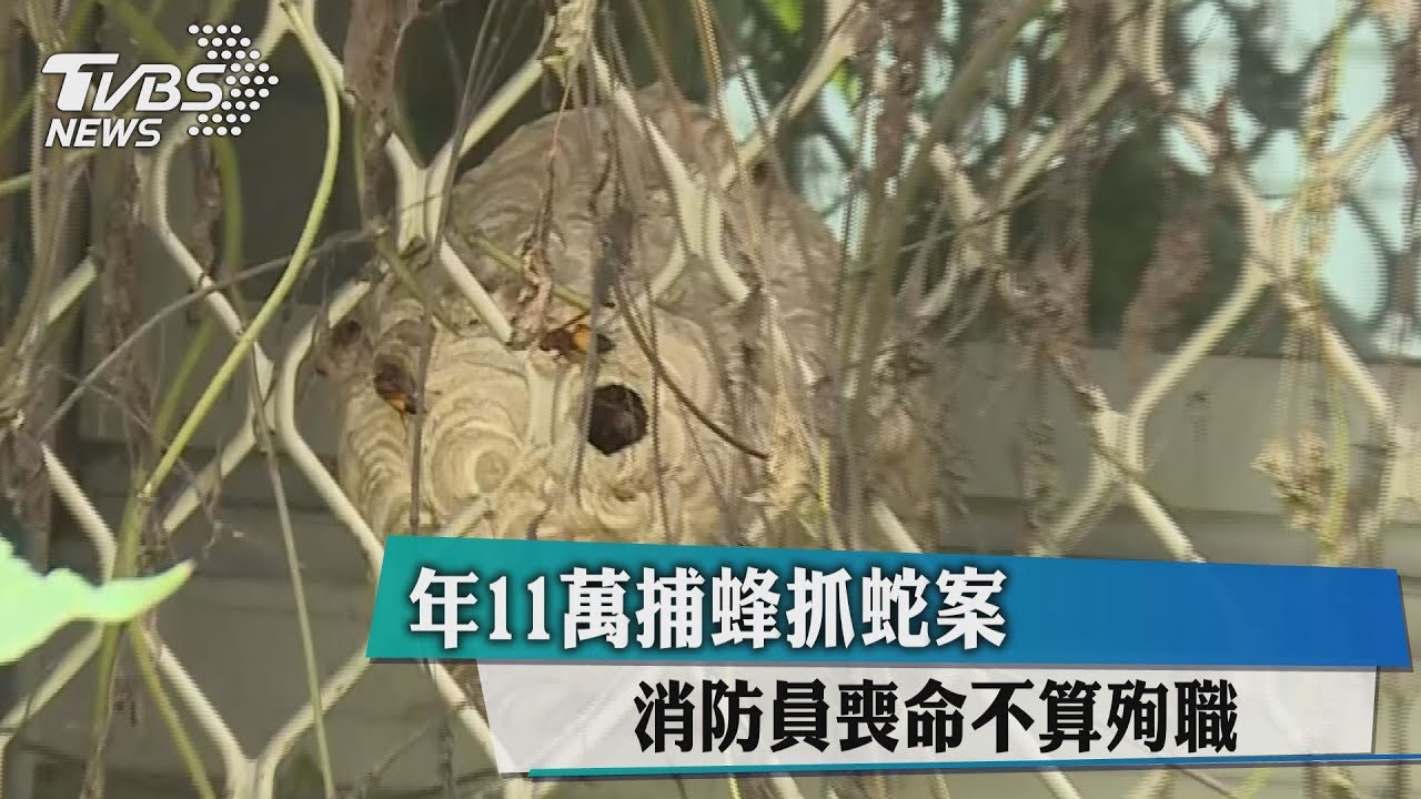 年11萬捕蜂抓蛇案 消防員喪命不算殉職