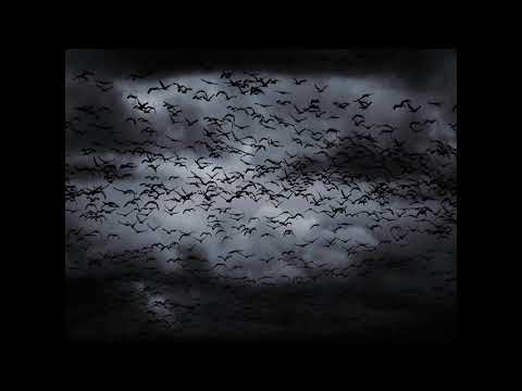 DEATH DEALER - DARK | Trap Metal Type Beat | [GHOSTEMANE x UNDXRTVKER x HXNJV]