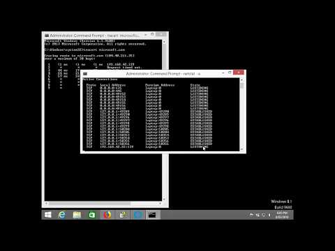 Calling Fake Tech Support Scammers again and again