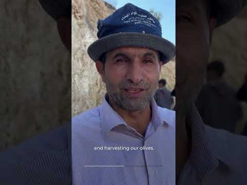 Israeli settlers attack Palestinian farmers during olive harvest
