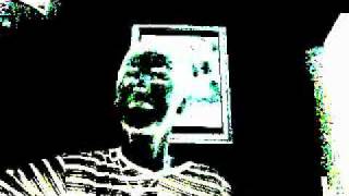 Animals in the zoo - The KinKs COVER Different Acoustic