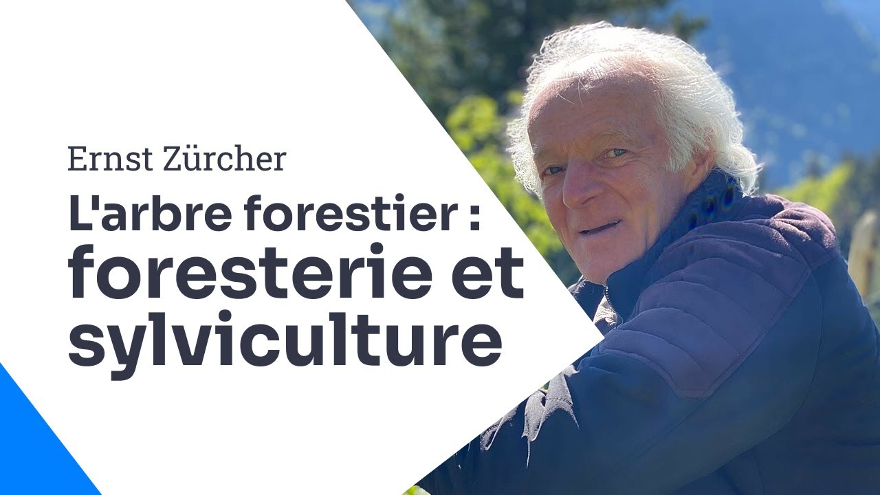 L'arbre forestier, foresterie et sylviculture, Ernst Zürcher