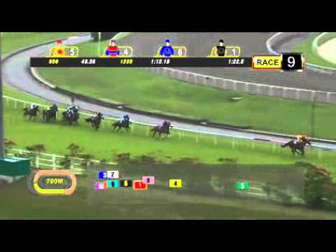 Fortune Bowl (G3) 2016 Quechua