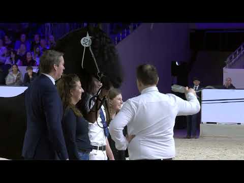 HK 2026 | Uitslag rubriek 6 | 17 Januari 2026