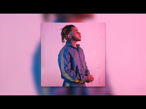 [FREE] Zola x Hamza Type Beat - "Niveau" (Prod. Traplysse x Shayaa)