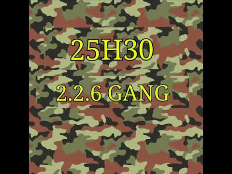 25h30 2.2.6 GANG  T'AS PAS LE BUZZ "TPLB"