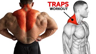 BEST EXERCISES FOR TRAPS FAST (Wider Trapezius)