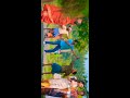 Sara Sari Telgu Song Status Latest Telgu Song Status Video Bheeshma Movie Song Status MR BRAJESH