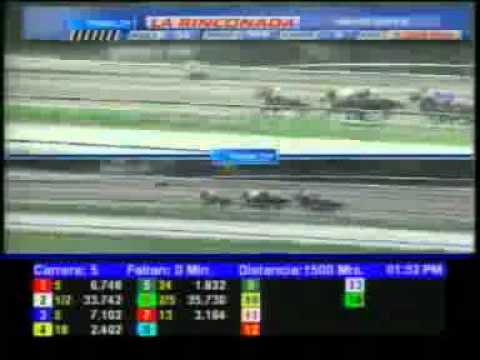 5TA CARRERA DOM 8 JULIO LA RINCONADA AUDIOHIPISMO