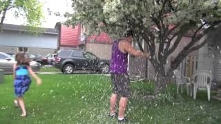 Apple Tree Blossoms Raining Down