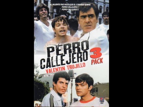 PERRO CALLEJERO PELICULA MEXICANA 1980