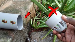 Easy method to stop cockroaches insects from drainage pipe..