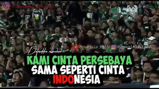 Download lagu Story WA persebaya mp3