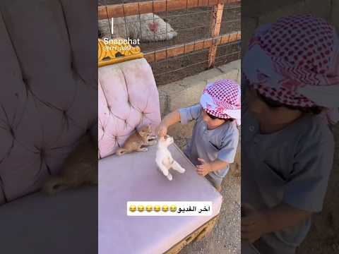 وااااااهه شوفوا شسوى في القطوه😭💔 #explore #اكسبلور #اكسبلور_explore