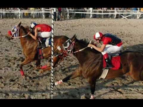 El Caballo Del Cobrador - Beto Quintanilla