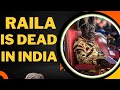 Raila Odinga Is Dead In India Daughter Winnie Reveals Amidst Ruto Silence