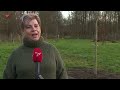 Coronaherdenkingsboom geplant in het Luierpark