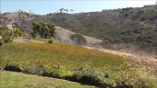 202 Presidio MLS version