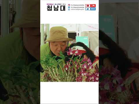 sns 이미지