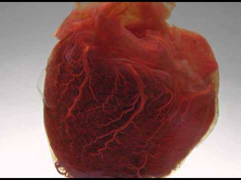 Robin Masters Orchestra feat. Panay Brookes "longing" dubmix